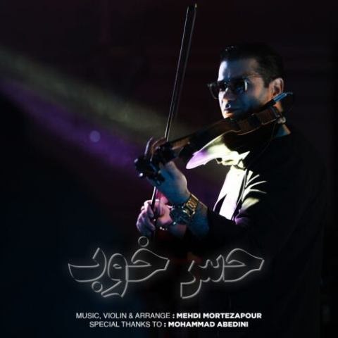 مهدی مرتضی پور – حس خوب